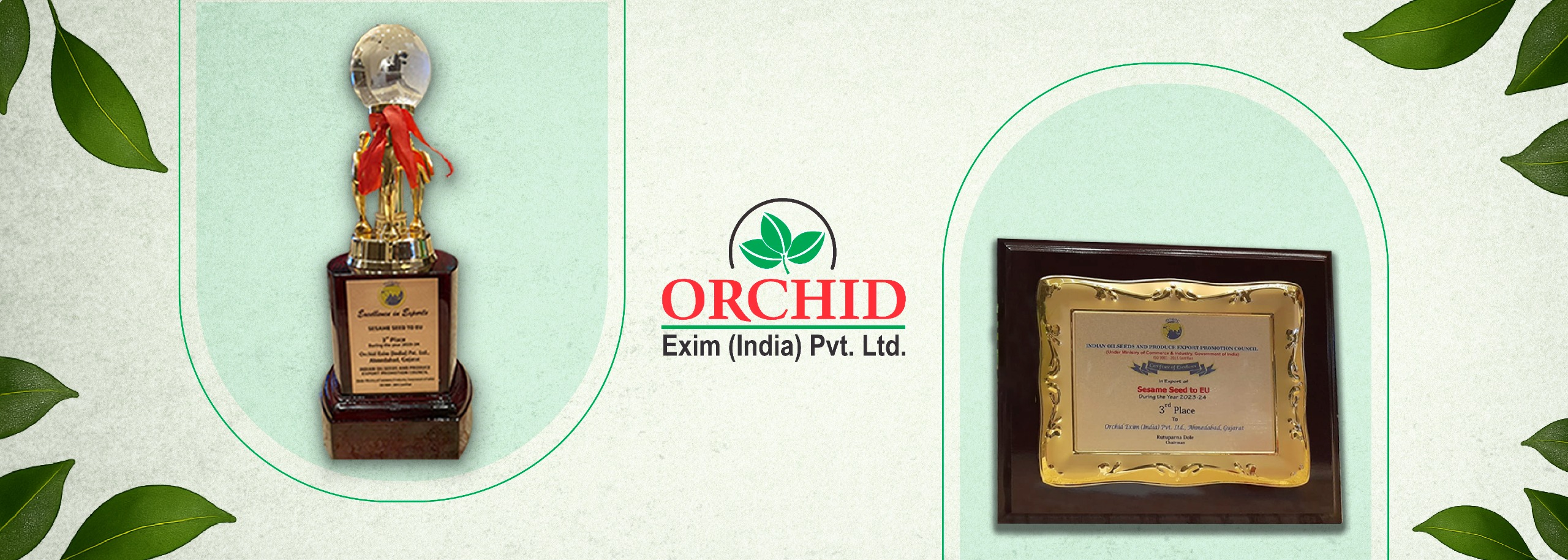 WhatsApp Image 2025-04-22 at 16.51.51